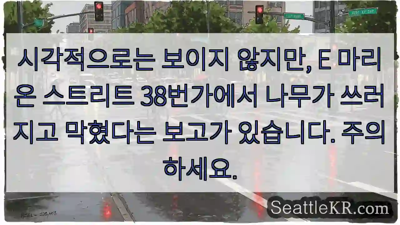 시각적으로는 보이지 않지만, E 마리온 스트리트 38번가에서 나무가 쓰러지고 막혔다는
