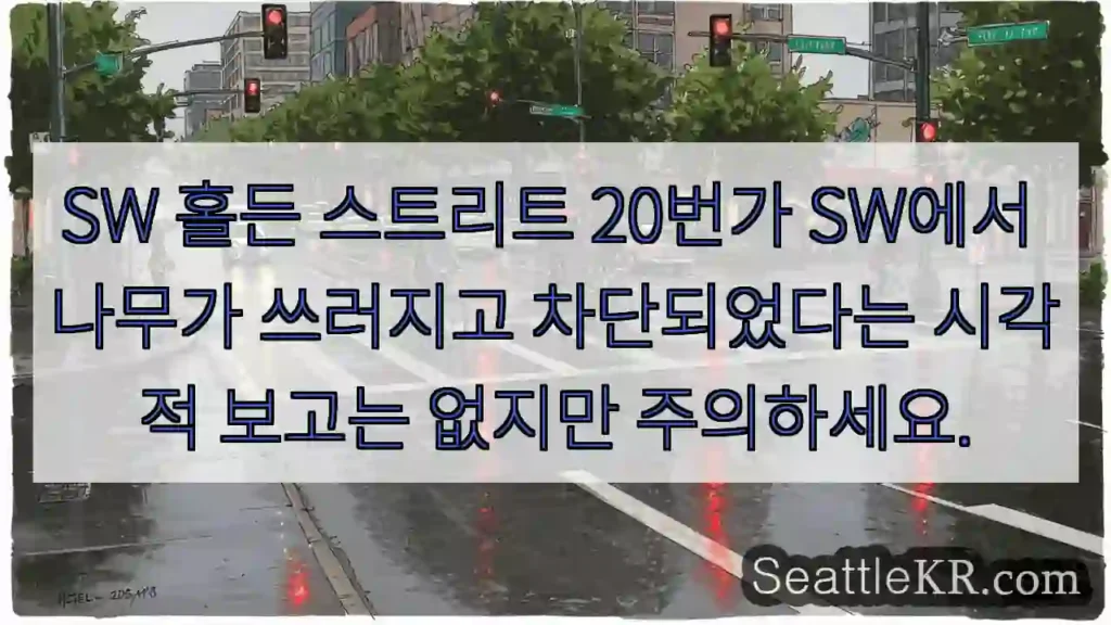 SW 홀든 스트리트 20번가 SW에서 나무가 쓰러지고 차단되었다는 시각적 보고는 없지만