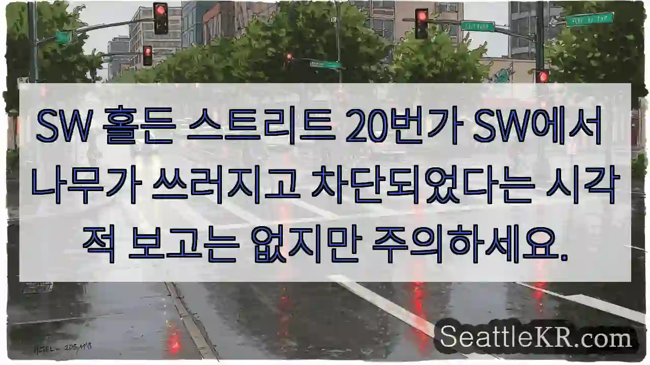 SW 홀든 스트리트 20번가 SW에서 나무가 쓰러지고 차단되었다는 시각적 보고는 없지만