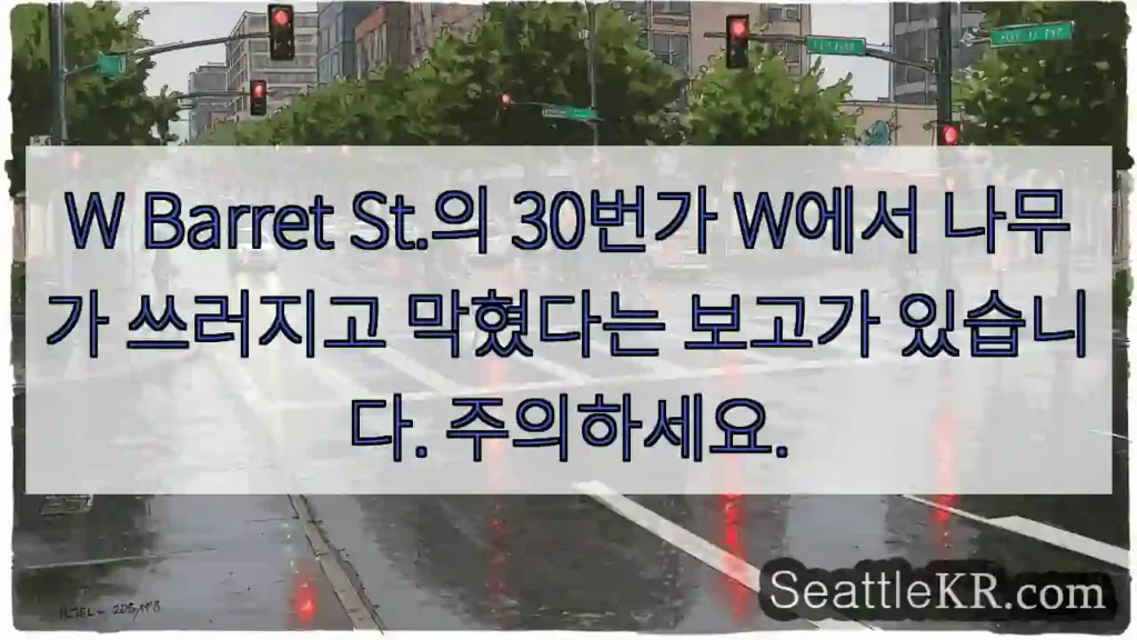 W Barret St.의 30번가 W에서 나무가 쓰러지고 막혔다는 보고가 있습니다.