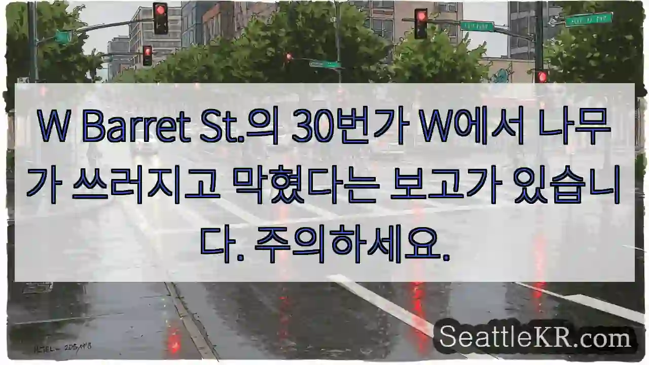 W Barret St.의 30번가 W에서 나무가 쓰러지고 막혔다는 보고가 있습니다.