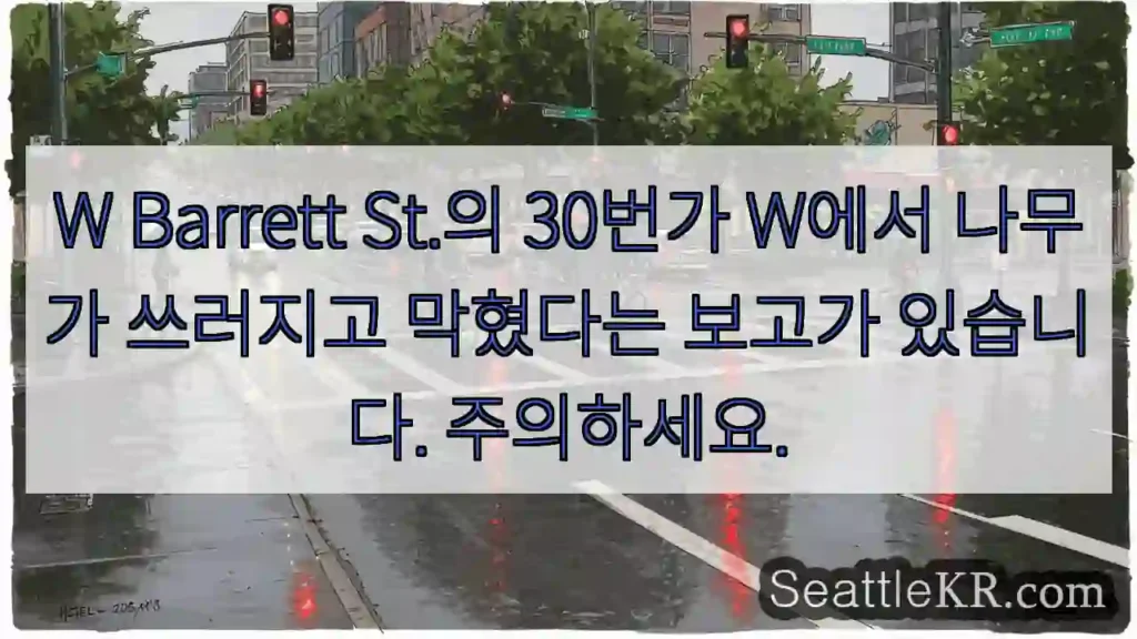 W Barrett St.의 30번가 W에서 나무가 쓰러지고 막혔다는 보고가 있습니다.