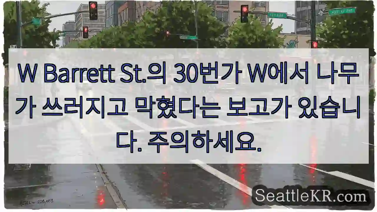 W Barrett St.의 30번가 W에서 나무가 쓰러지고 막혔다는 보고가 있습니다.