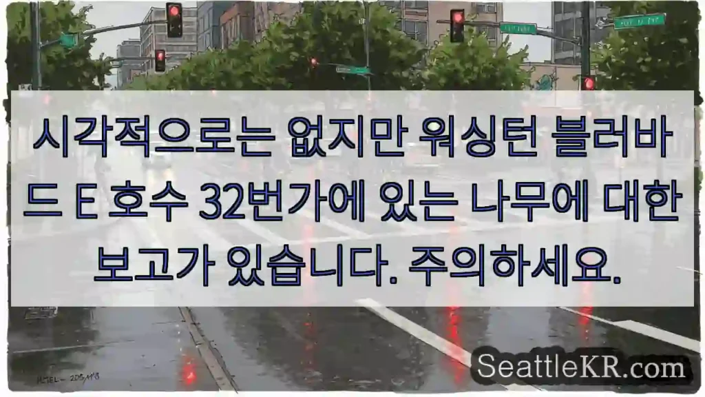 시각적으로는 없지만 워싱턴 블러바드 E 호수 32번가에 있는 나무에 대한 보고가