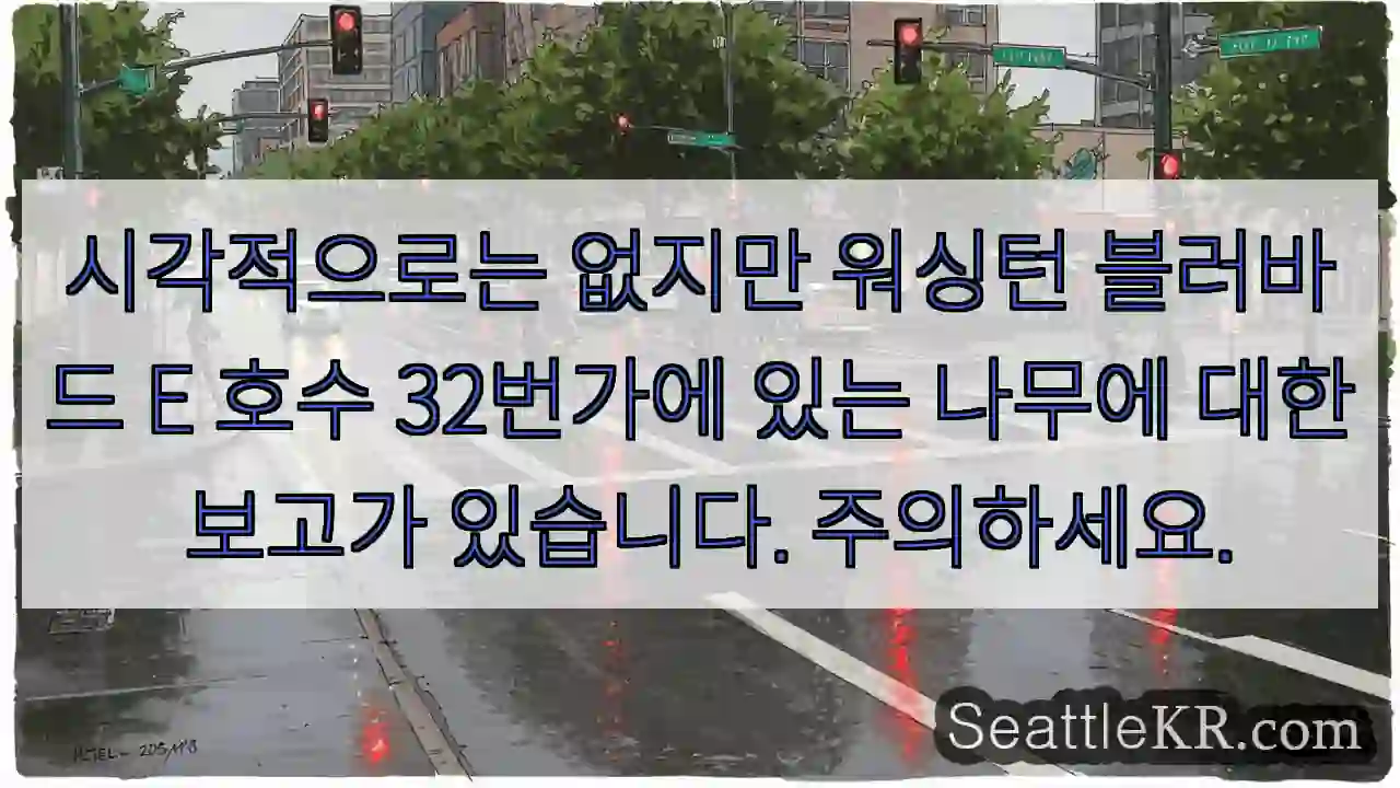 시각적으로는 없지만 워싱턴 블러바드 E 호수 32번가에 있는 나무에 대한 보고가