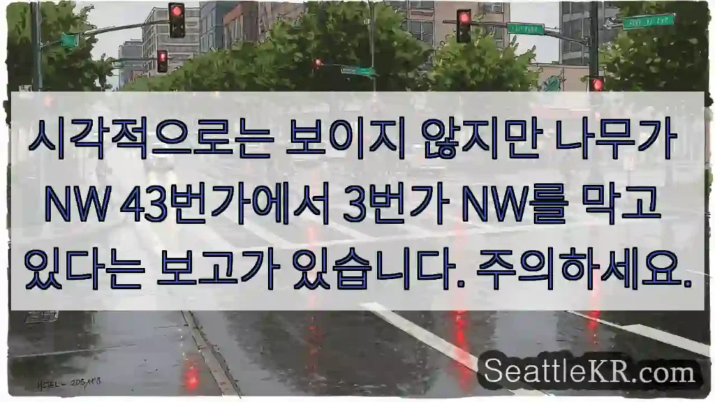 시각적으로는 보이지 않지만 나무가 NW 43번가에서 3번가 NW를 막고 있다는 보고가