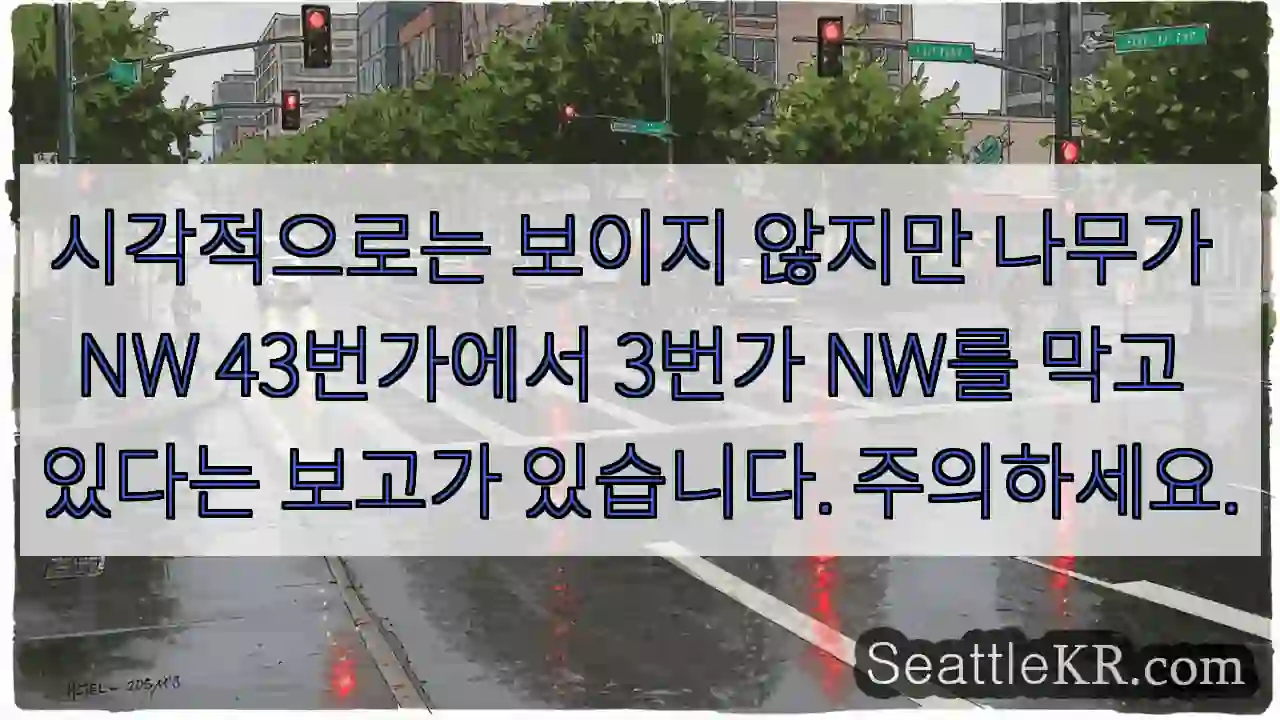 시각적으로는 보이지 않지만 나무가 NW 43번가에서 3번가 NW를 막고 있다는 보고가