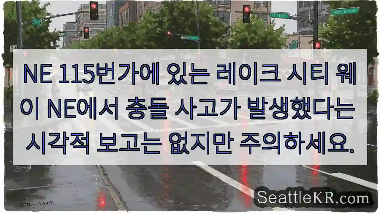 NE 115번가에 있는 레이크 시티 웨이 NE에서 충돌 사고가 발생했다는 시각적 보고는