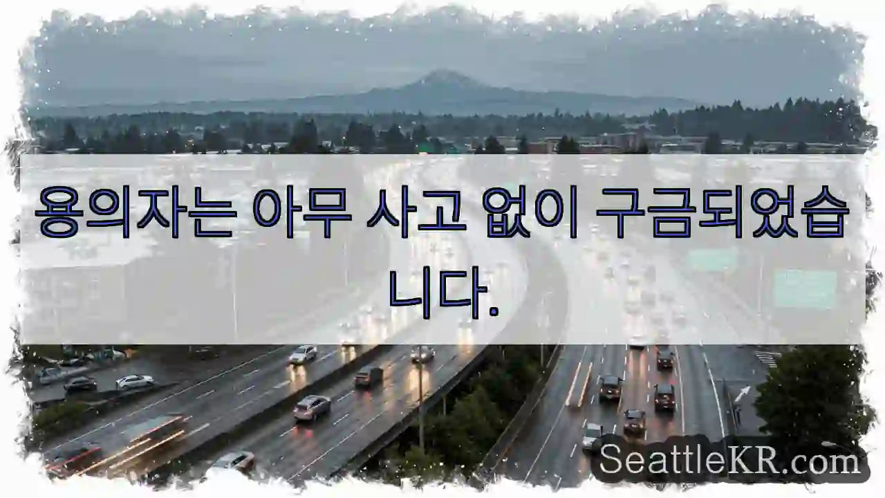 용의자는 아무 사고 없이 구금되었습니다.