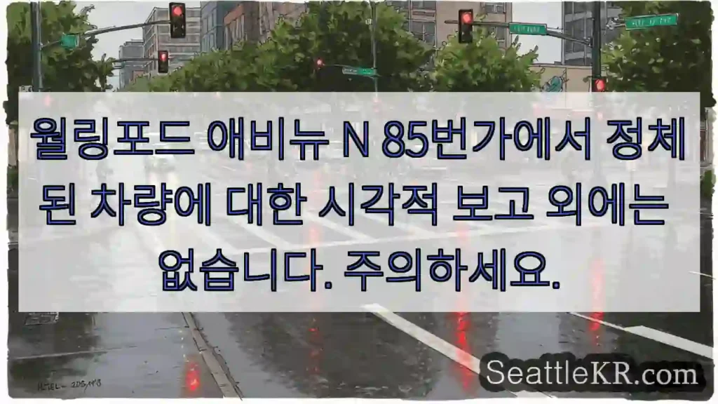 월링포드 애비뉴 N 85번가에서 정체된 차량에 대한 시각적 보고 외에는 없습니다.