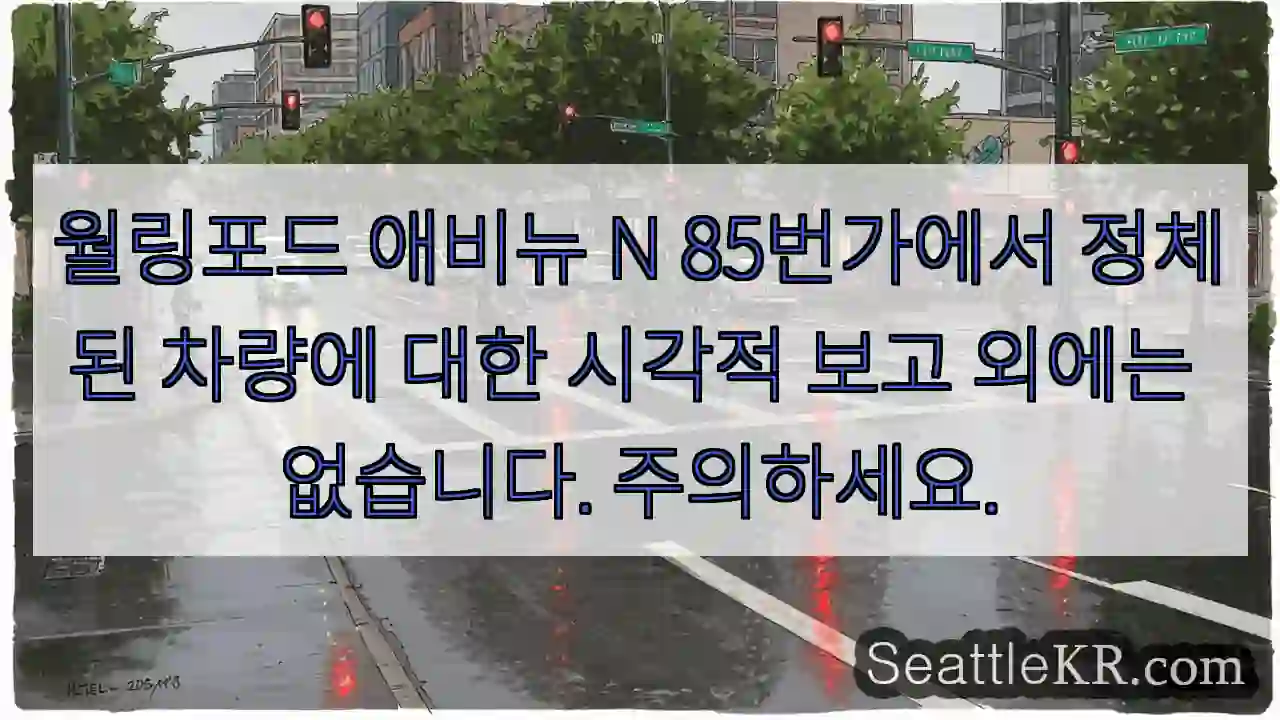 월링포드 애비뉴 N 85번가에서 정체된 차량에 대한 시각적 보고 외에는 없습니다.