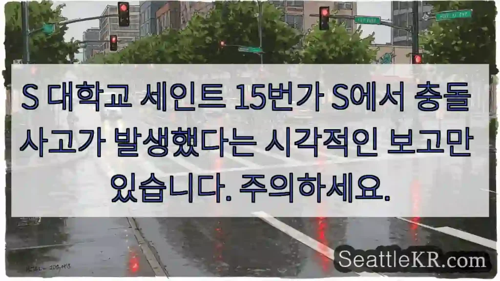 S 대학교 세인트 15번가 S에서 충돌 사고가 발생했다는 시각적인 보고만 있습니다.