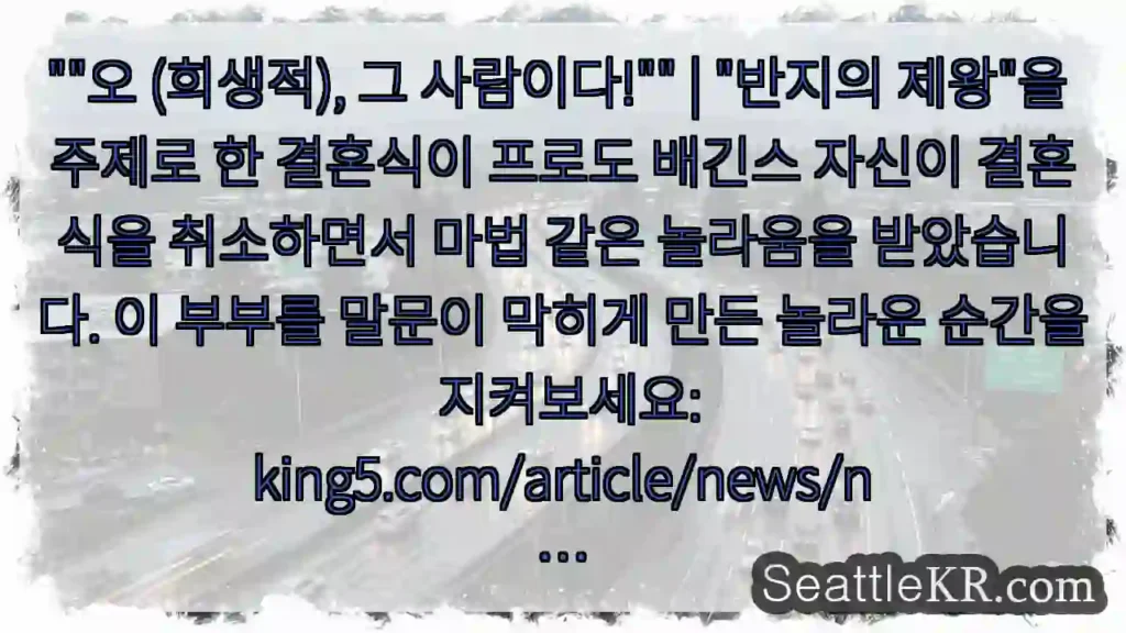 ""오 (희생적), 그 사람이다!"" | "반지의 제왕"을 주제로 한 결혼식이 프로도