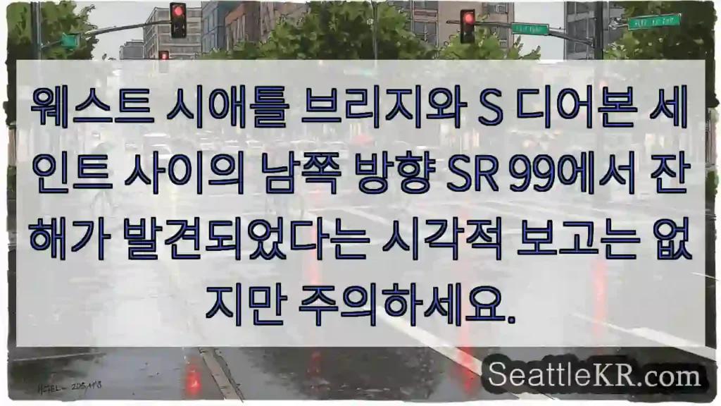 웨스트 시애틀 브리지와 S 디어본 세인트 사이의 남쪽 방향 SR 99에서 잔해가