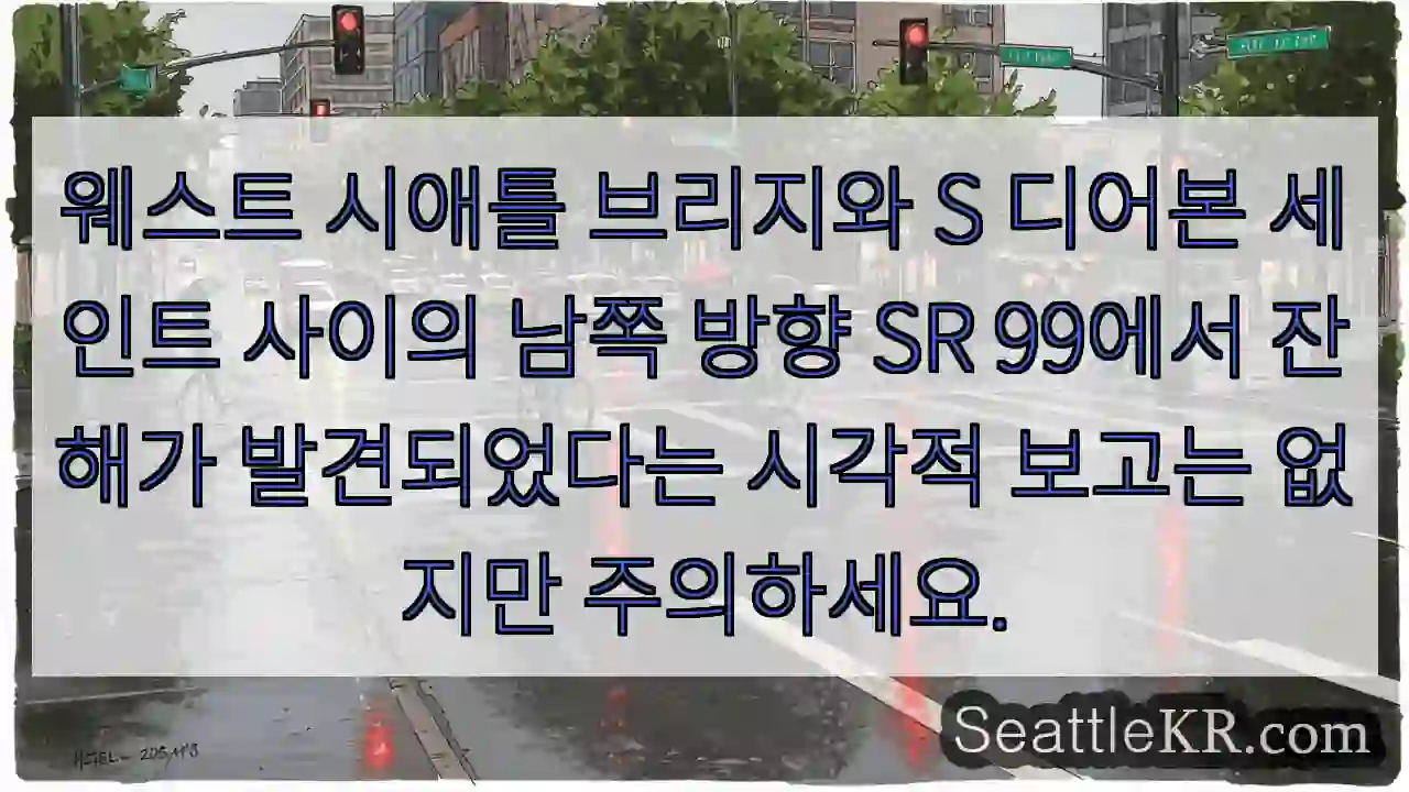 웨스트 시애틀 브리지와 S 디어본 세인트 사이의 남쪽 방향 SR 99에서 잔해가