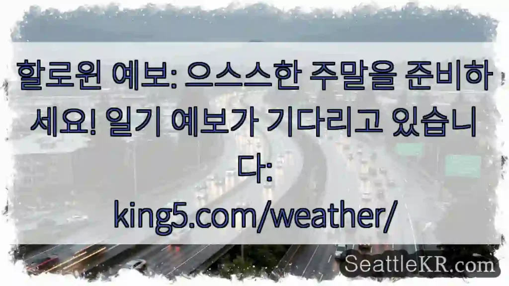 할로윈 예보: 으스스한 주말을 준비하세요! 일기 예보가 기다리고