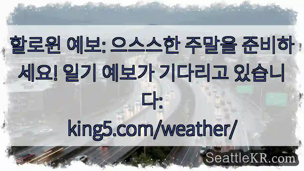 할로윈 예보: 으스스한 주말을 준비하세요! 일기 예보가 기다리고