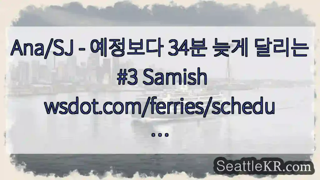 Ana/SJ - 예정보다 34분 늦게 달리는 #3