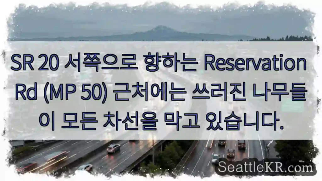 SR 20 서쪽으로 향하는 Reservation Rd (MP 50) 근처에는 쓰러진