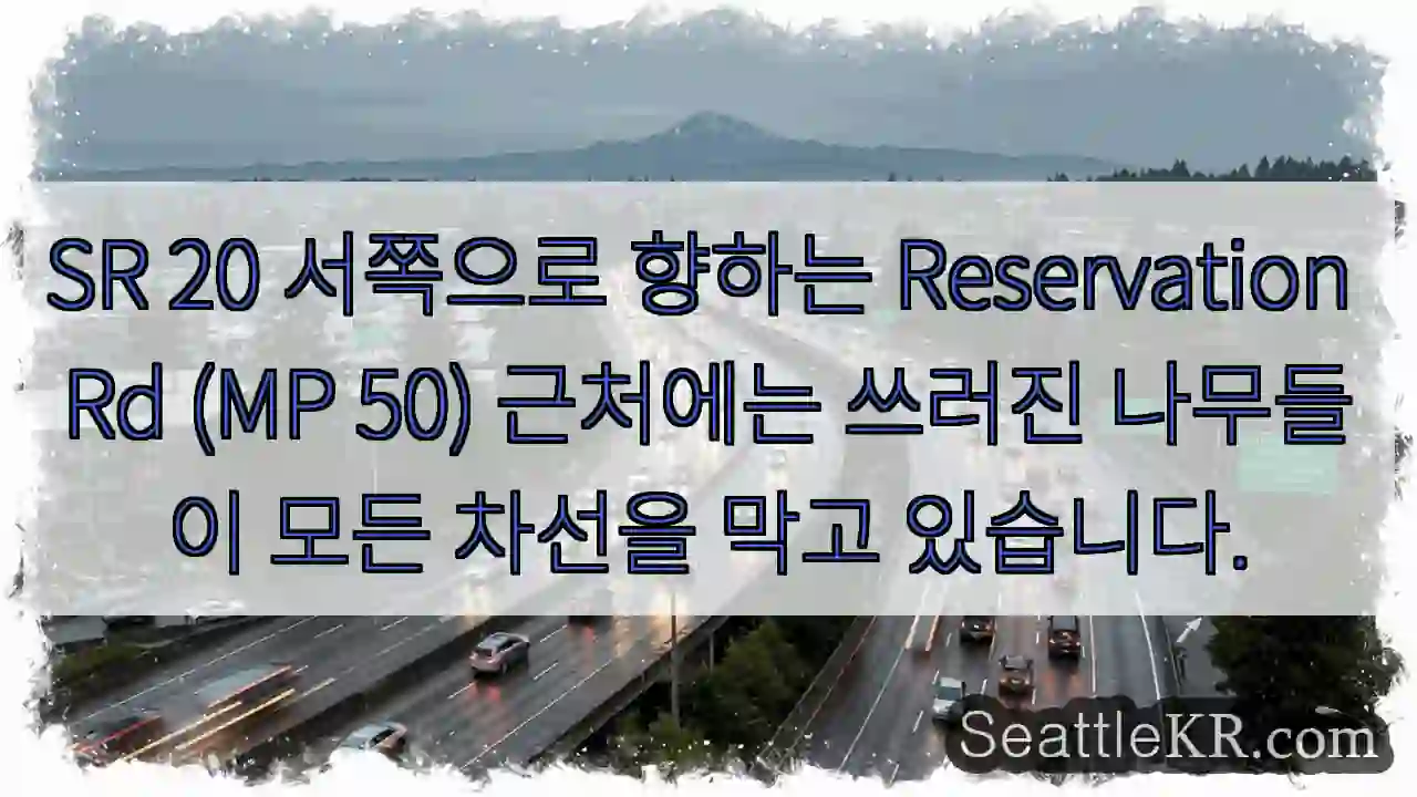 SR 20 서쪽으로 향하는 Reservation Rd (MP 50) 근처에는 쓰러진