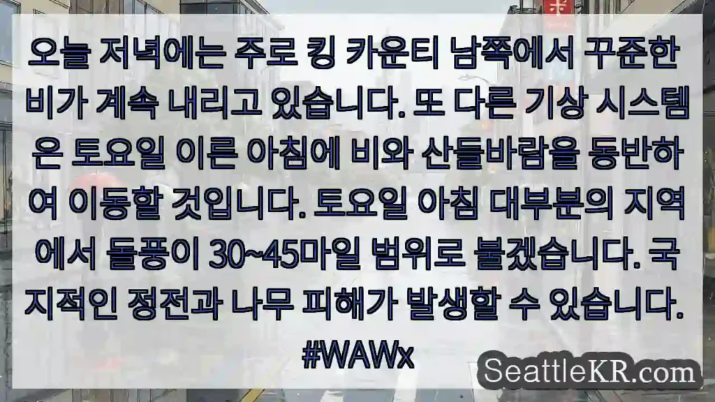오늘 저녁에는 주로 킹 카운티 남쪽에서 꾸준한 비가 계속 내리고 있습니다. 또 다른 기상