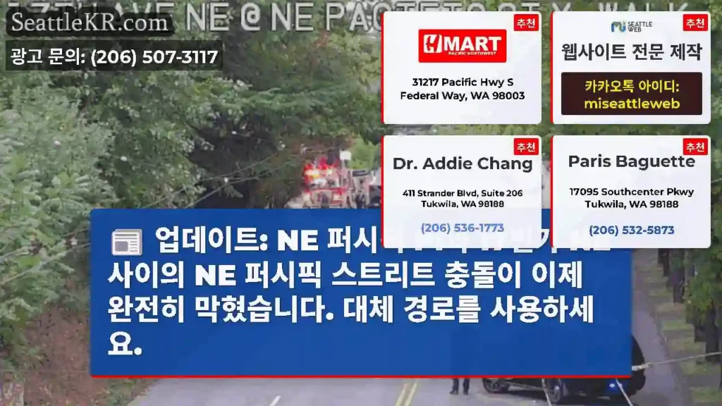 업데이트: NE 퍼시픽 Pl과 17번가 NE 사이의 NE 퍼시픽 스트리트 충돌이 이제