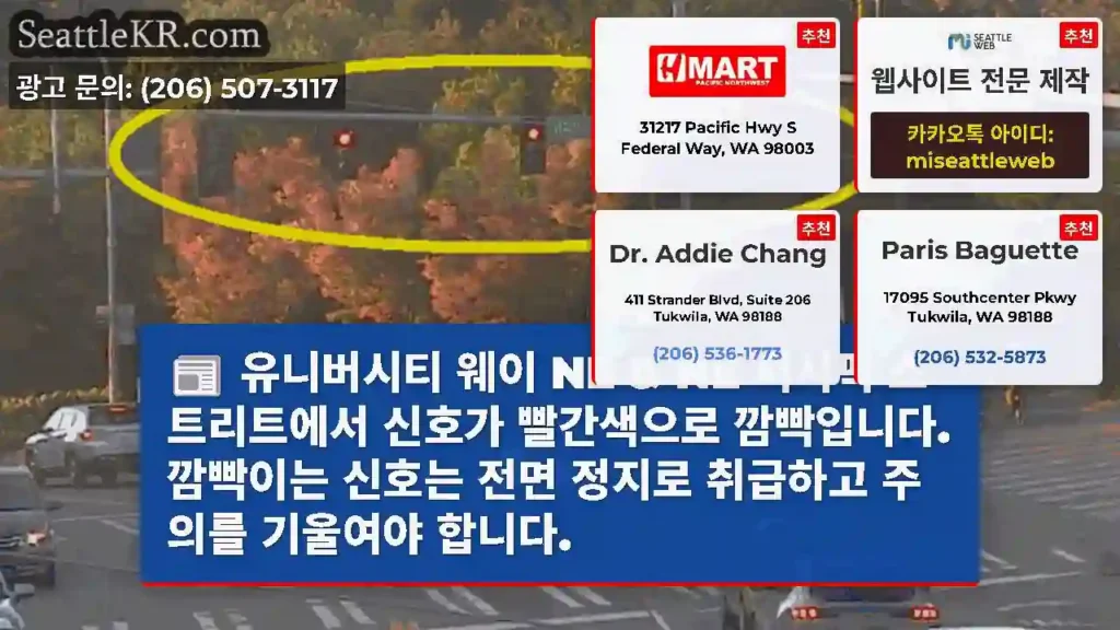 유니버시티 웨이 NE & NE 퍼시픽 스트리트에서 신호가 빨간색으로 깜빡입니다. 깜빡이는