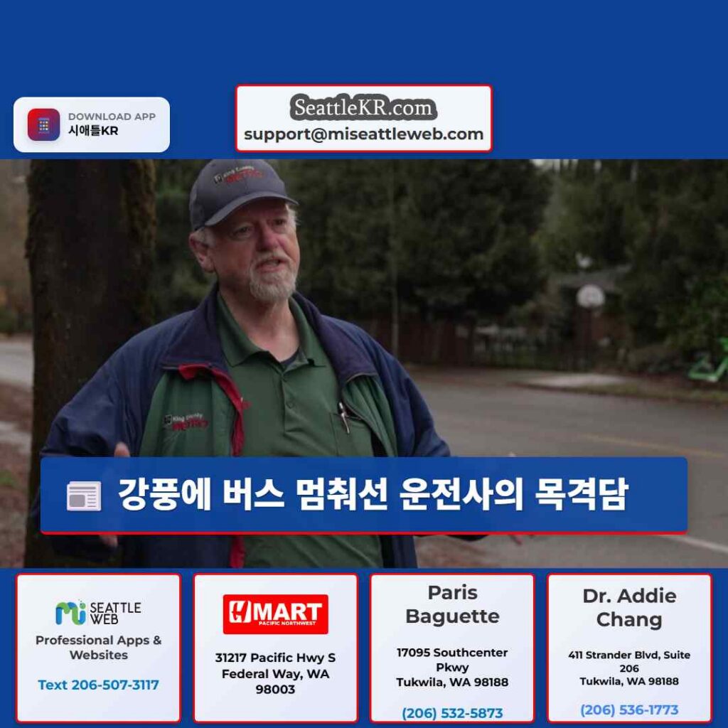 강풍에 버스 멈춰선 운전사의 목격담