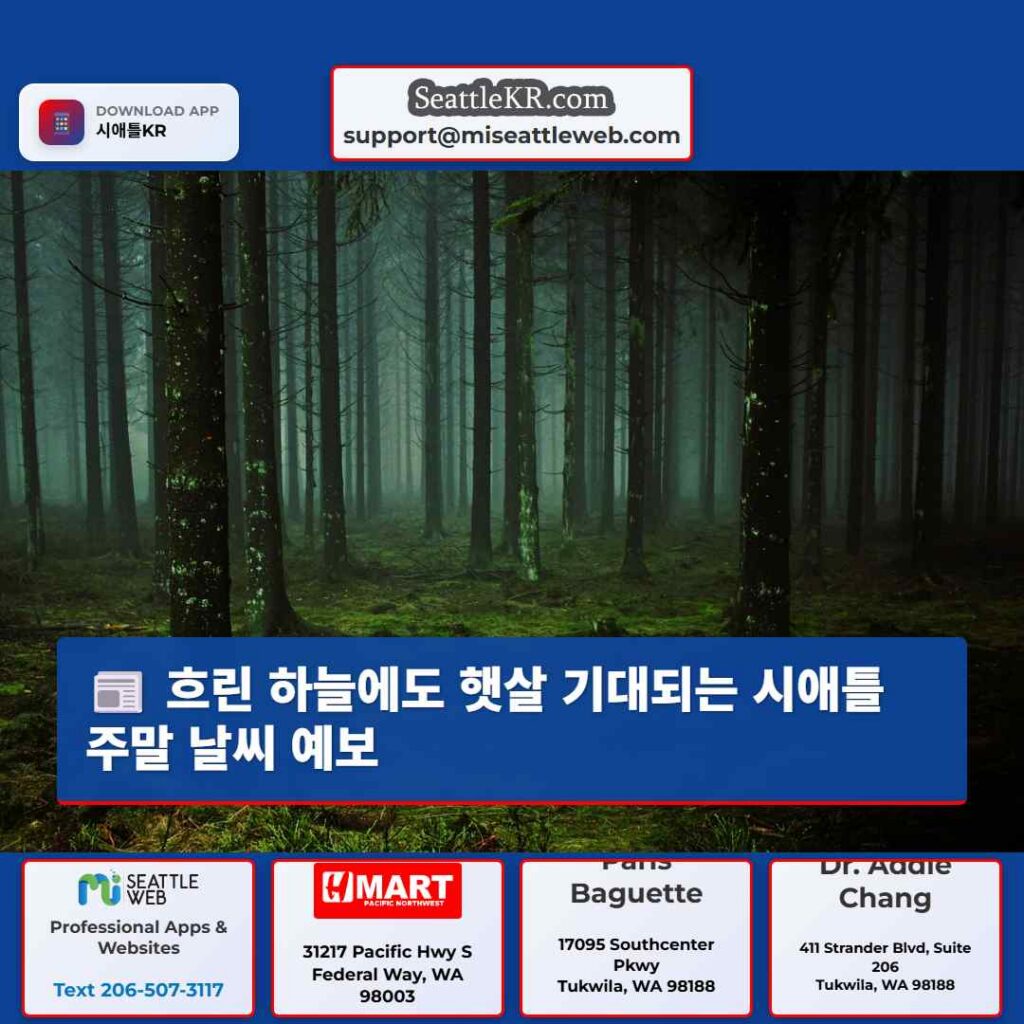 흐린 하늘에도 햇살 기대되는 시애틀 주말 날씨 예보