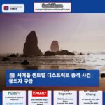 시애틀 센트럴 디스트릭트에서 총격 사건 후 구금 중인 용의자