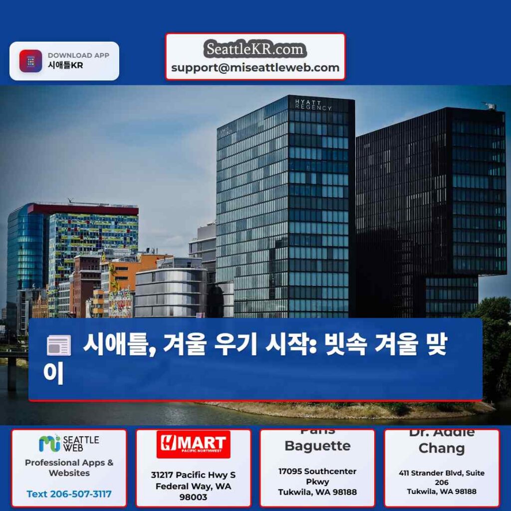 시애틀, 겨울 우기 시작: 빗속 겨울 맞이