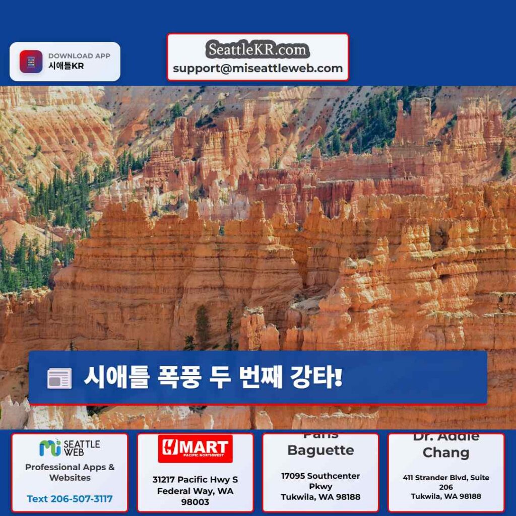 시애틀 폭풍 두 번째 강타!