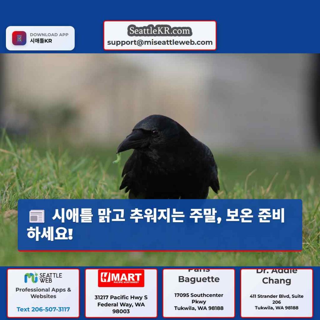 시애틀 맑고 추워지는 주말, 보온 준비하세요!