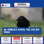 시애틀 날씨 맑고 건조한 주말 시작 기온 하락 예상