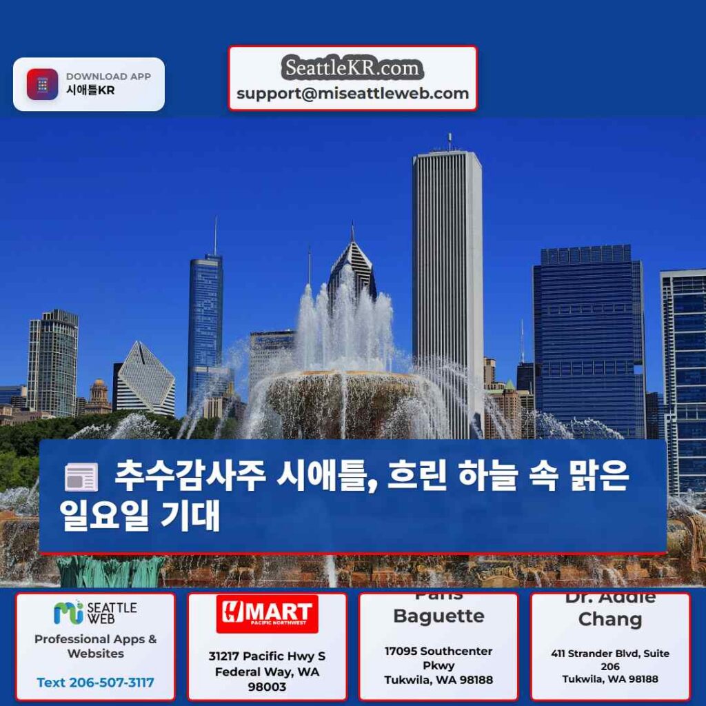 추수감사주 시애틀, 흐린 하늘 속 맑은 일요일 기대