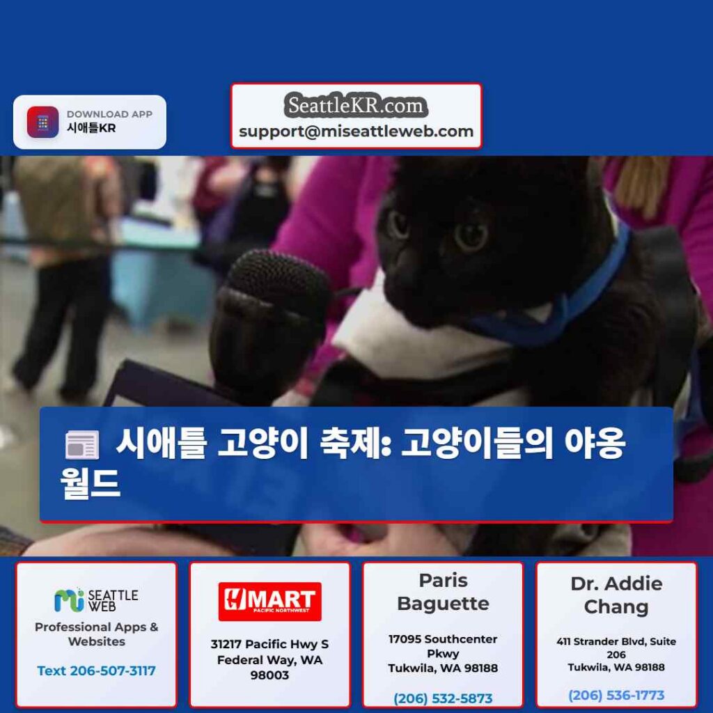 시애틀 고양이 축제: 고양이들의 야옹월드