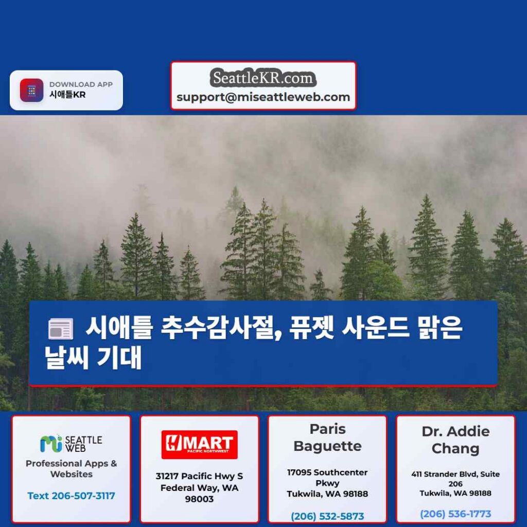 시애틀 추수감사절, 퓨젯 사운드 맑은 날씨 기대