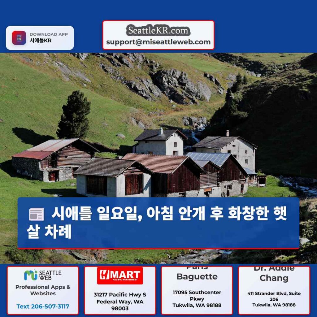 시애틀 일요일, 아침 안개 후 화창한 햇살 차례