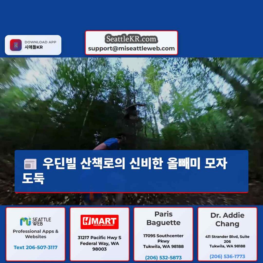 우딘빌 산책로의 신비한 올빼미 모자 도둑