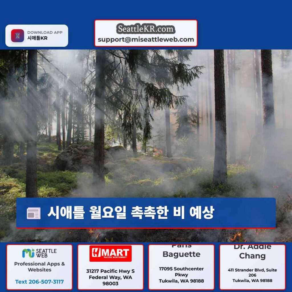 시애틀 월요일 촉촉한 비 예상