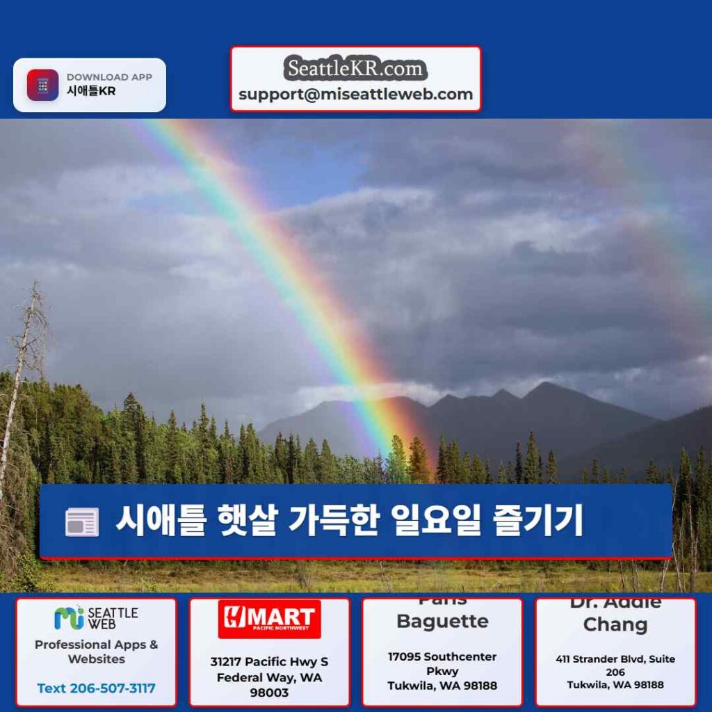 시애틀 햇살 가득한 일요일 즐기기