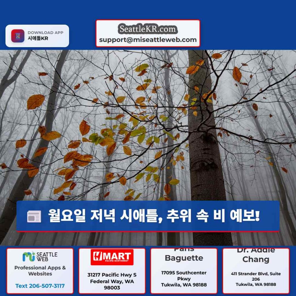 월요일 저녁 시애틀, 추위 속 비 예보!