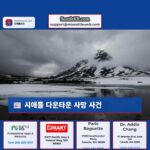 시애틀 다운타운 사망 사건 경찰 수사 중