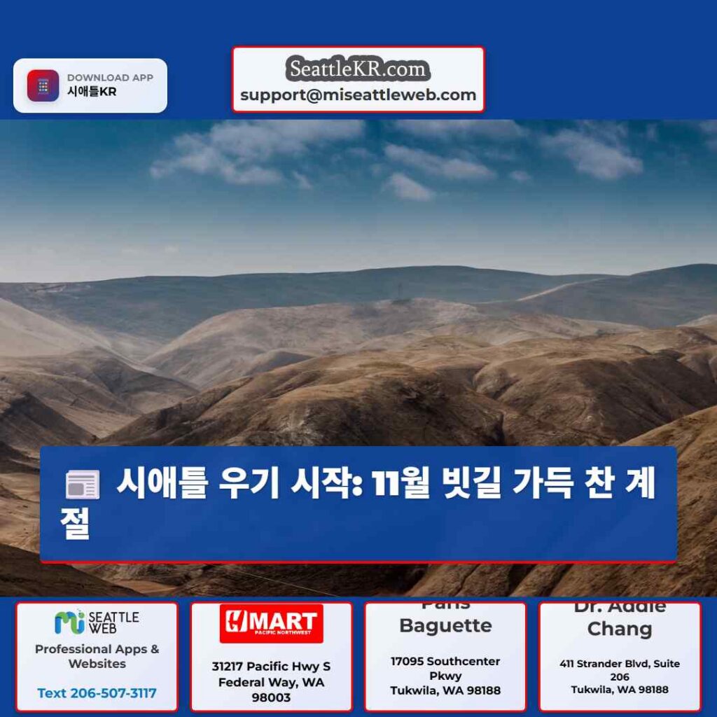 시애틀 우기 시작: 11월 빗길 가득 찬 계절