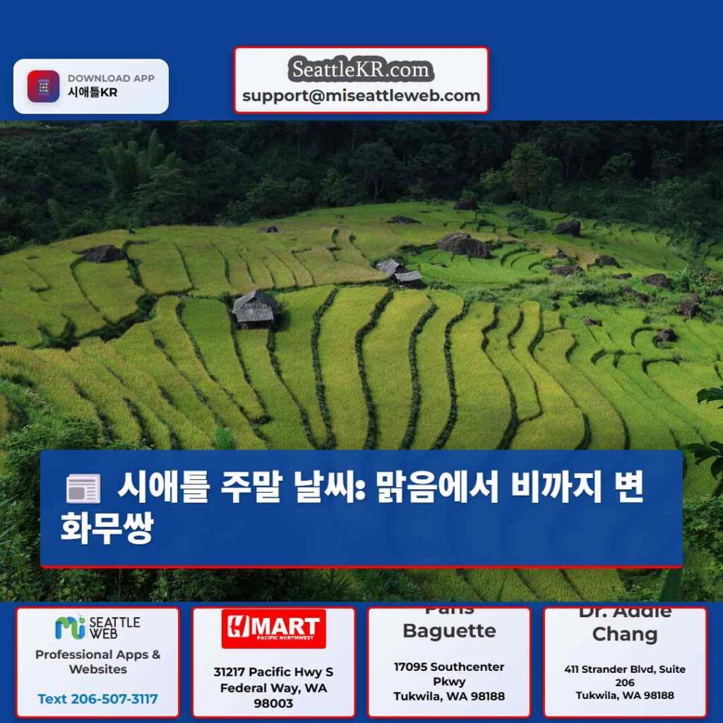 시애틀 주말 날씨: 맑음에서 비까지 변화무쌍