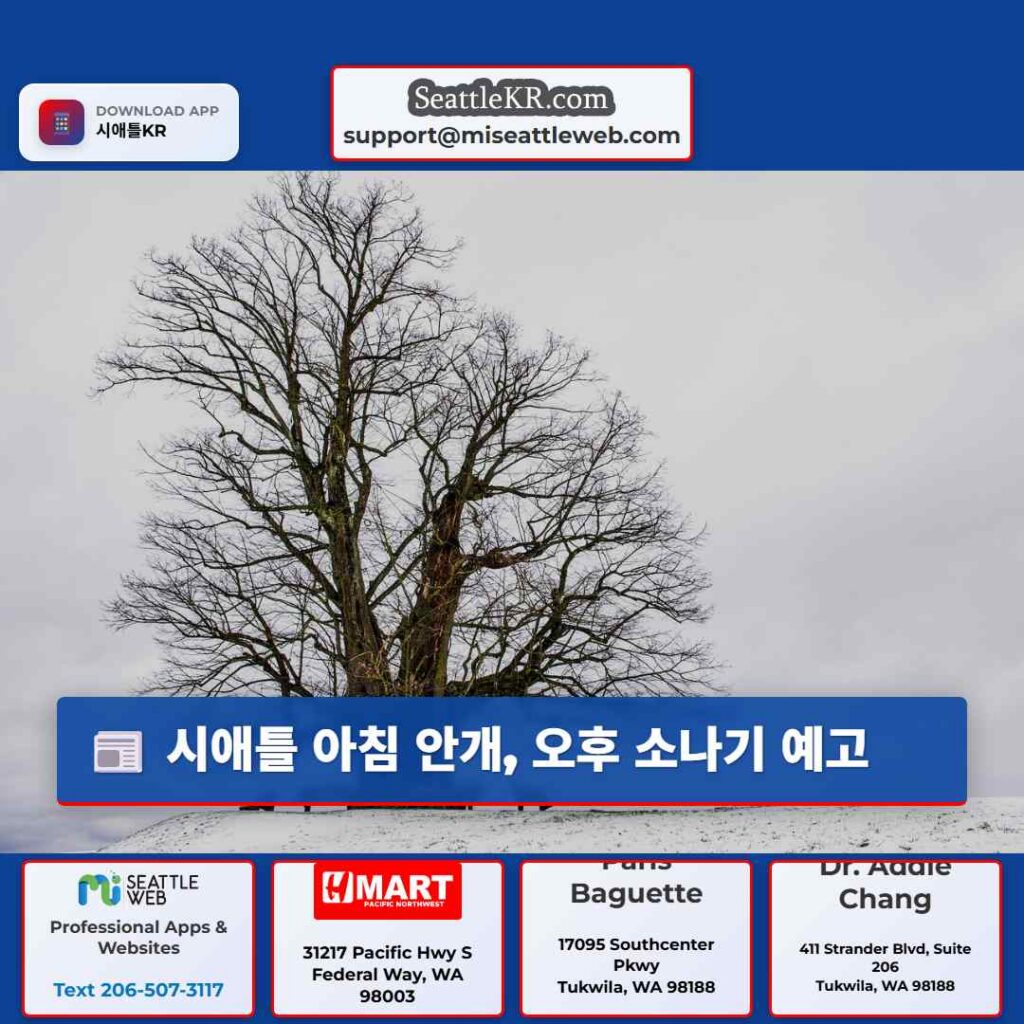 시애틀 아침 안개, 오후 소나기 예고