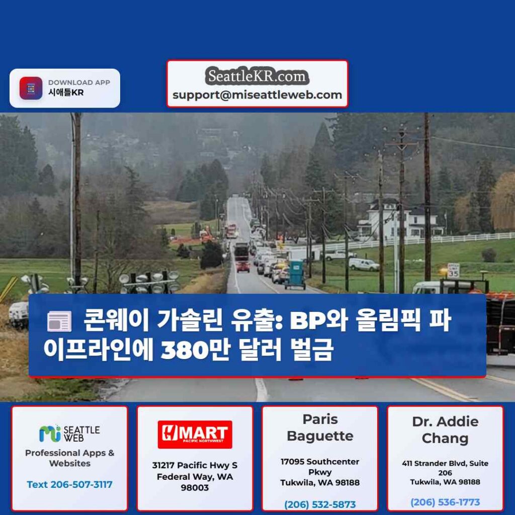 콘웨이 가솔린 유출: BP와 올림픽 파이프라인에 380만 달러 벌금