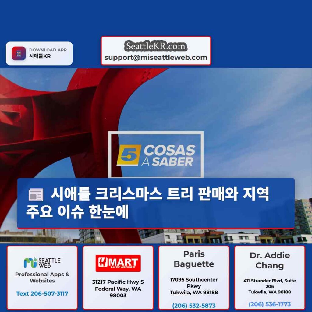 시애틀 크리스마스 트리 판매와 지역 주요 이슈 한눈에