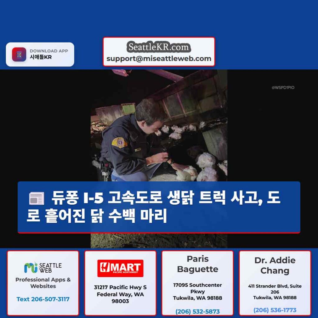 듀퐁 I-5 고속도로 생닭 트럭 사고, 도로 흩어진 닭 수백 마리