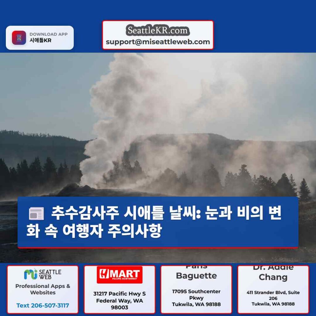 추수감사주 시애틀 날씨: 눈과 비의 변화 속 여행자 주의사항